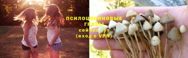ECSTASY Горнозаводск
