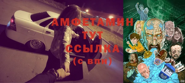 сатива Горняк
