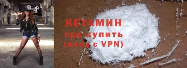сатива Горняк