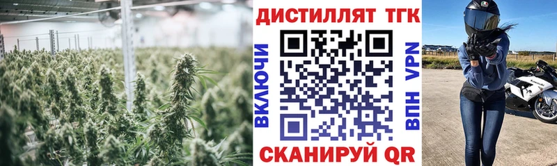 ТГК вейп с тгк  наркотики  Ачхой-Мартан 